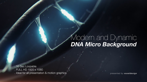 Modern Dynamic DNA