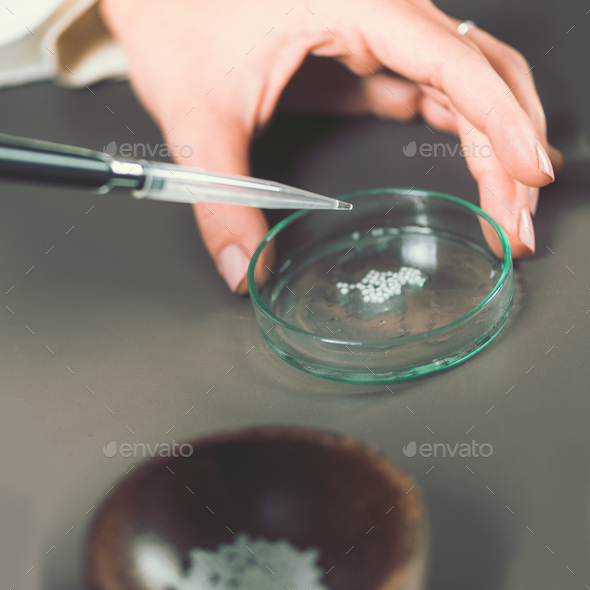 Homeopathy. Preparation of homeopathic remedies Stock Photo by microgen
