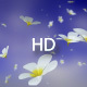 Falling Flowers - VideoHive Item for Sale