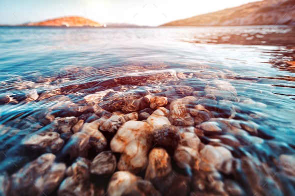 Beauty of underwater nature - Stock Photo - Images
