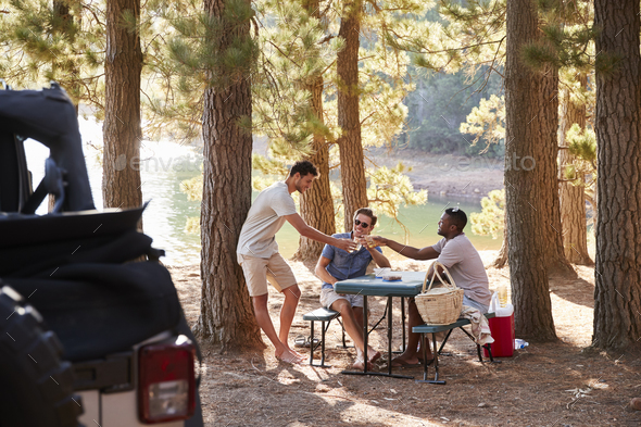 Three male friends make a toast at a picnic table by a lake Stock Photo by monkeybusiness