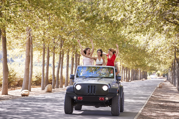 Girlfriends standing up in the back of an open top jeep Stock Photo by monkeybusiness