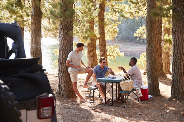 Three male friends talking at a picnic table by a lake Stock Photo by monkeybusiness