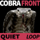 Cobra Front View Quiet - VideoHive Item for Sale