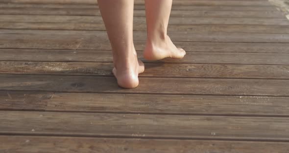 Stroll on Wooden Boardwalk alt