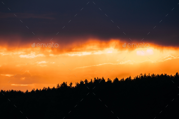 Rain Cloud Above Dark Black Silhouettes Of Forest Trees Woods Du - Stock Photo - Images