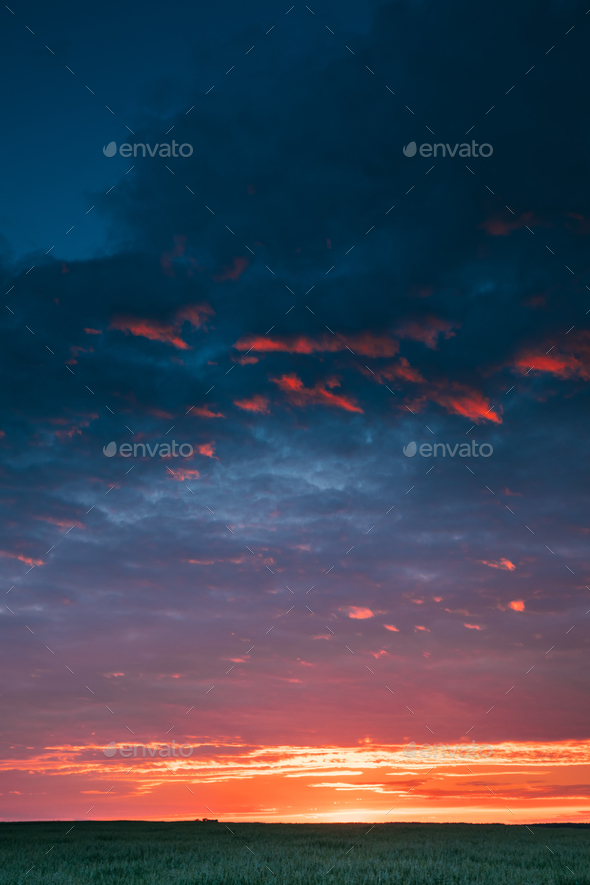 Landscape Of Green Young Wheat In Spring Field Under Scenic Summ - Stock Photo - Images