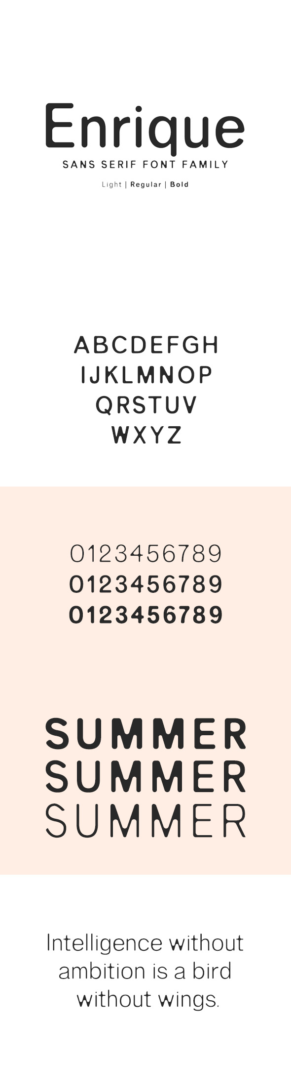 Enrique Sans Serif Font Family - Sans-Serif Fonts