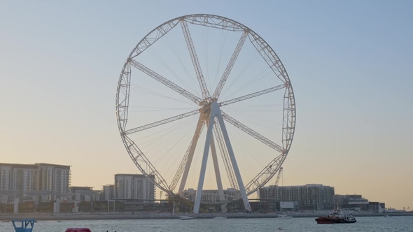 Huge Ferris Wheel in Dubai in Twilight, Seagulls Are Flying in Foreground, Boats Are Floating