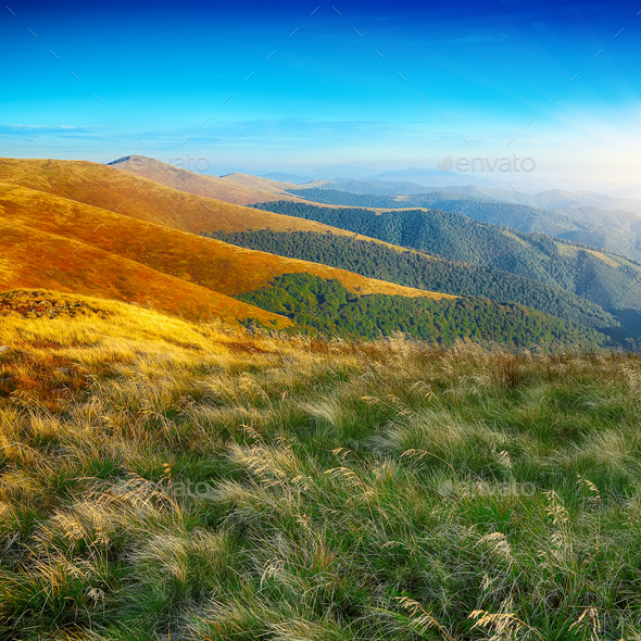 Beautiful landscape in the mountain - Stock Photo - Images