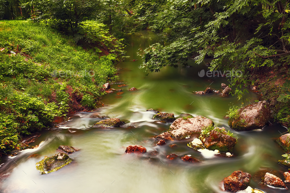 River deep in mountain forest. Nature composition. - Stock Photo - Images