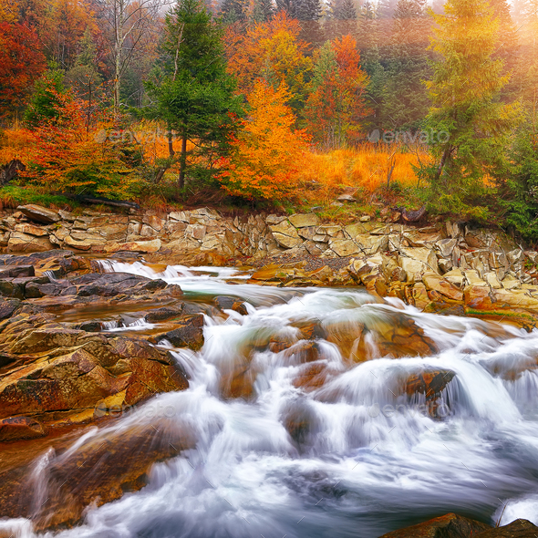 rapid mountain river in autumn - Stock Photo - Images