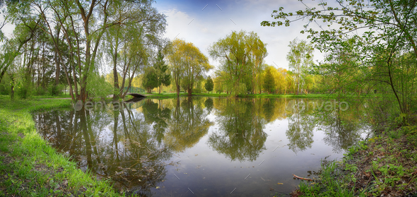 Tranquil Pond With Lush Green Woodland Park in Sunshine - Stock Photo - Images