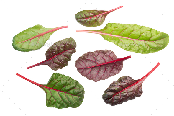 Chard mangold beta vulgaris leaves, top, paths - Stock Photo - Images
