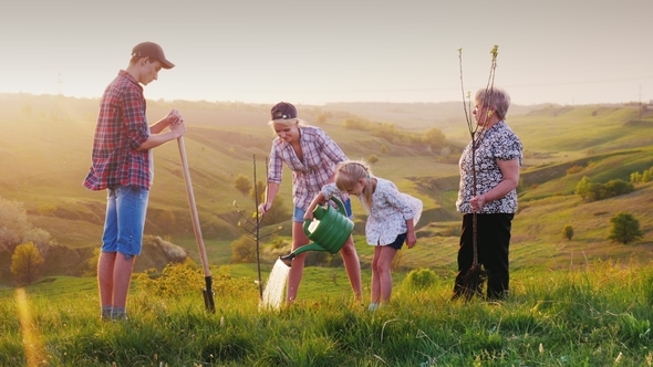 For Several Generations the Family Plants a Tree in a Picturesque Place alt