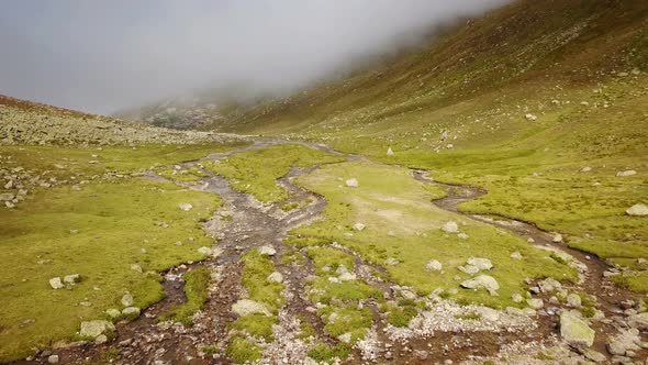 Foggy Plateau on Ground Nature Green Ayder Scenic, Rize, Turkey