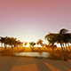 Sunset Oasis In The Desert - VideoHive Item for Sale