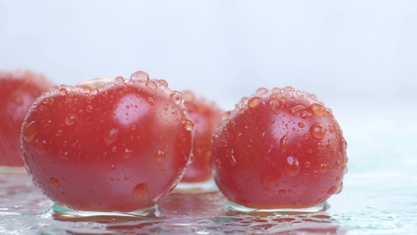 Red Tomato on a White Background with Water Drops alt