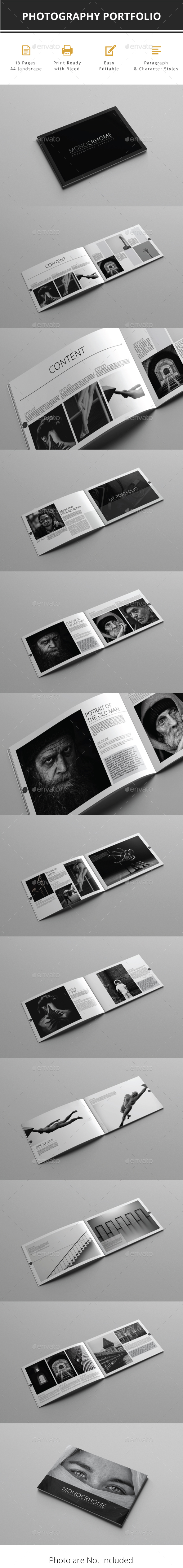 Portfolio InDesign Template - Portfolio Brochures