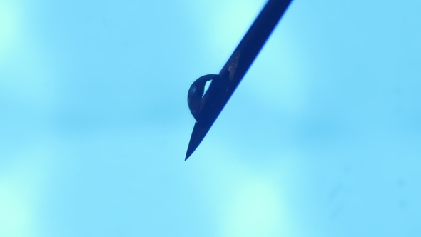 Brilliant Drops of Water Get Big on a Tip of an Inclined Needle and Fall in a Lab