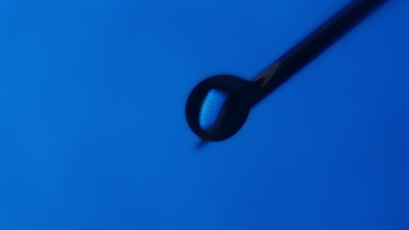 Brilliant  Blobs of Water Grow on a Tip of a Slanting Needle and Fall in a Lab