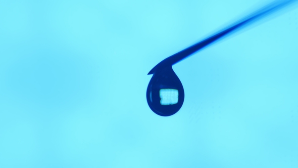 A Droplet of Water Grows on a Tip of a Needle and Falls. It Is Light Inside alt