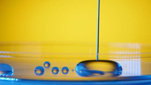 Vertical Needle Absorbs Water From a Small Pool on a Glassy Surface in a Lab