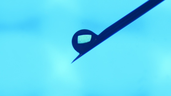 Shining Drops of Water Appear on a Tip of an Inclined Needle and Fall in a Lab.
