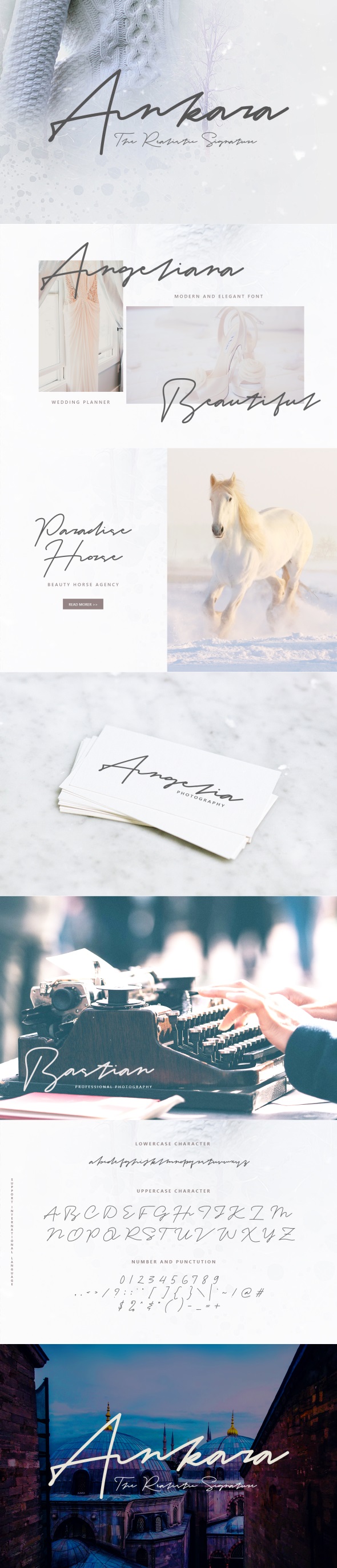 Ankara - The Realistic Signature - Script Fonts