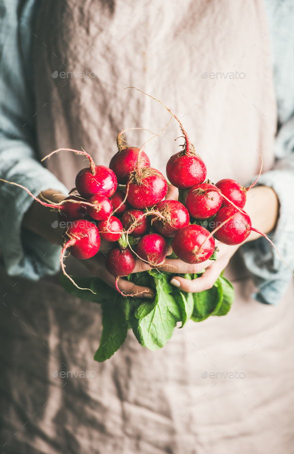 Female farmer in apron holding bunch of radish - Stock Photo - Images