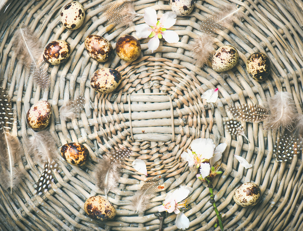 Natural colored quail eggs for Easter with flowers - Stock Photo - Images
