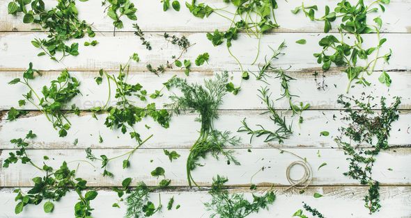 Various fresh green kitchen herbs for healthy cooking, wide composition - Stock Photo - Images