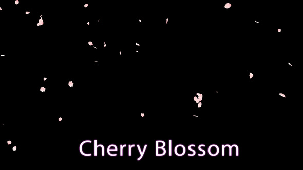 Cherry Blossom alt