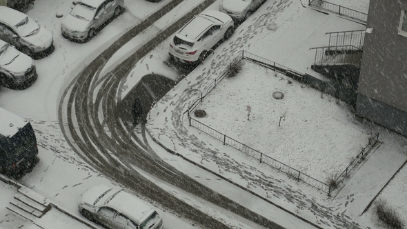 Snow Falling in Town, Winter Background. Snowstorm, Snowy Weather. Snowing in Winter alt