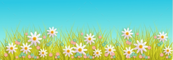 Spring Grass and Flowers Border on Blue Sky - Flowers & Plants Nature