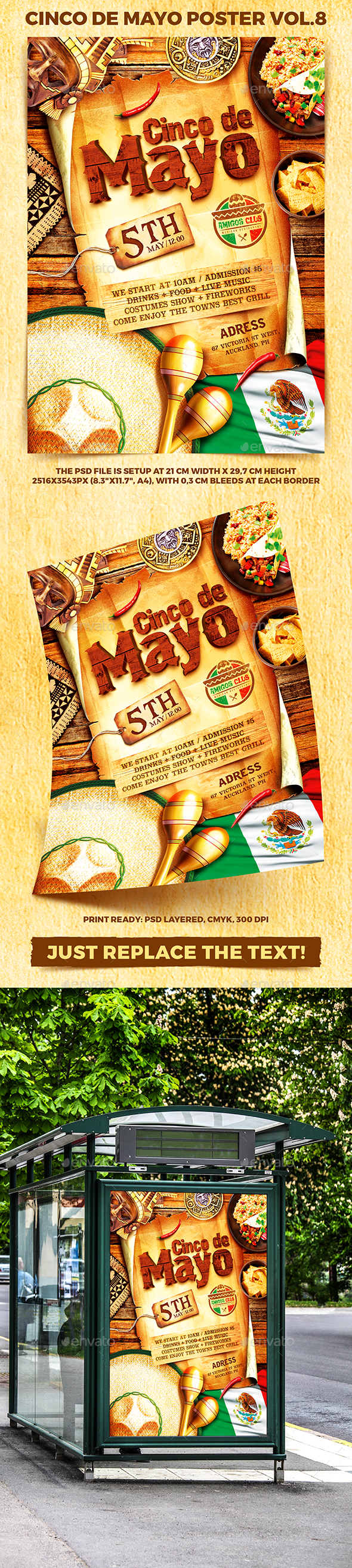 Cinco de Mayo Party Poster vol.8 - Holidays Events