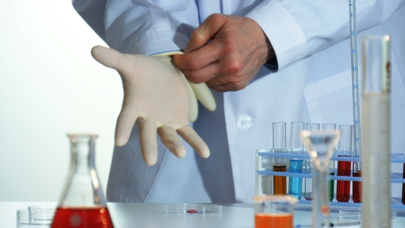 Lab Technician Puts on Rubber Gloves