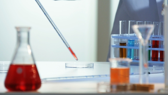 Lab Technician Adds a Few Drops of a Red Chemical From a Pipette To a Petri Dish