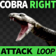 Cobra Right View Attack - VideoHive Item for Sale