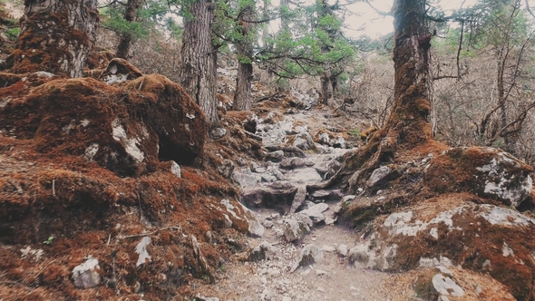 A POV Video of an Hiker Walking on Trekking Trail in Nepal alt