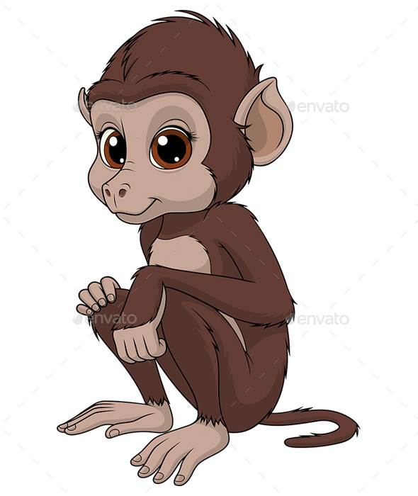 Monkey - Animals Characters