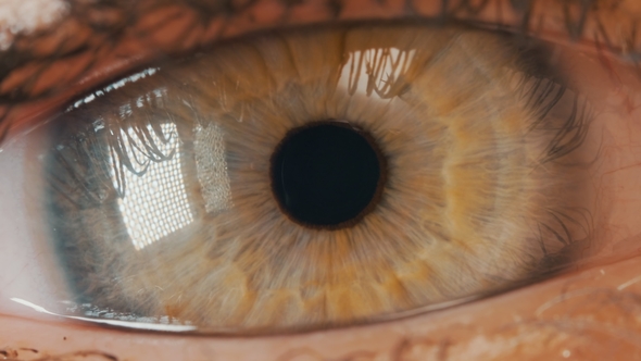 Human Green Iris Contracting alt