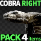 Cobra Right View Pack 4 - VideoHive Item for Sale
