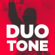 Duotone Opener - VideoHive Item for Sale