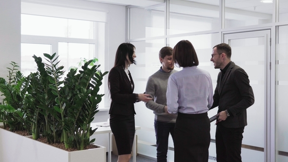 Team of Successful People Talking and Shaking Hands After Business Meeting