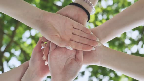Girlfriends Girls Join Hands in the Summer Against the Background of Tree Branches alt