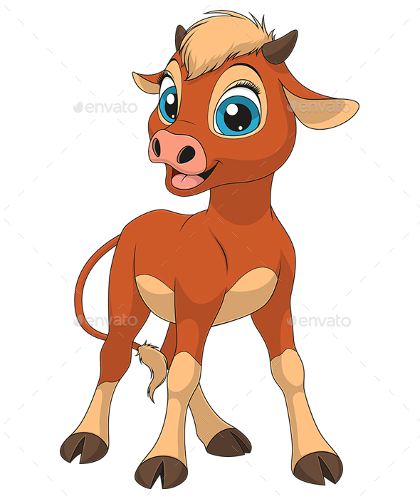Calf - Animals Characters