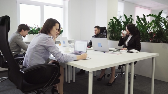 Business People Working at a Table in the Office