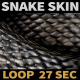 Snake Skin - VideoHive Item for Sale