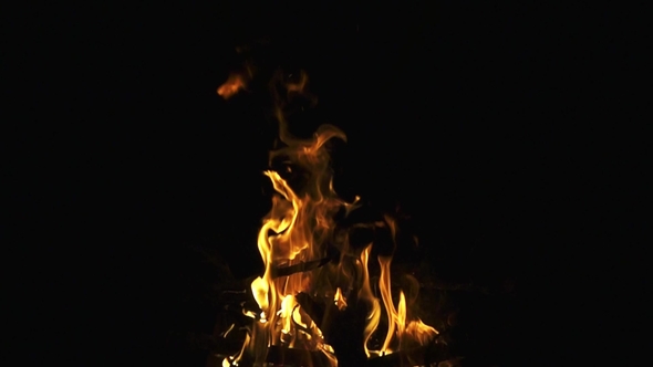 Burning Fire on Black Background,